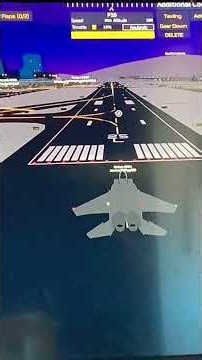 Types of roleplays in ptfs #plane #ptfs #roblox #pilottrainingflightsimulator #subscribe