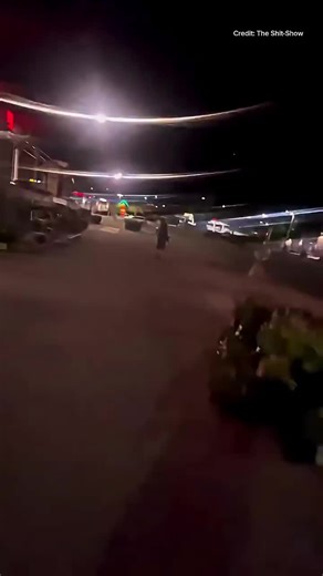 LP let him go because he stole out of hunger | people vs food