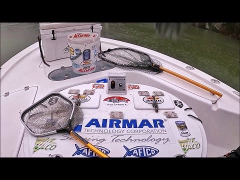 Striper Fishing LIVE BAIT in Freshwater! How to catch Striped Bass RIGHT NOW! Planers and Floats