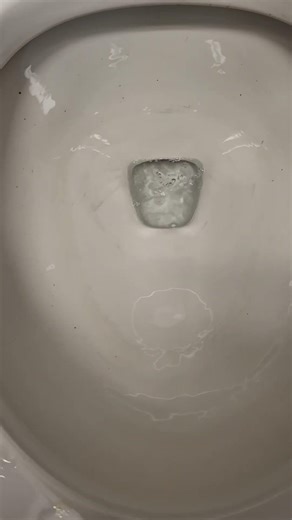 2021 Project Source ProFlush Syphoning