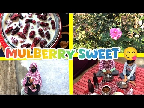 Cooking with asma daily routine/mulberry sweet 😋 dessert #recipe #volg