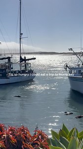 Who’s hungry for a trip to Morro Bay? Discover everything Morro Bay has to offer: https://www.morrobay.org/ | Morro Bay CA