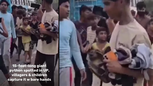 UP Kids Parade 15-Foot Python Bare-Handed, Video Sparks Outrage and Amusement Online