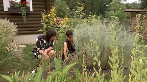 MDR Garten: Heilpflanzen aus dem Garten