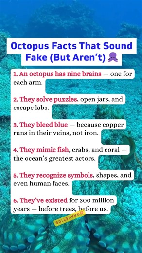 🐙 Mind-Blowing Facts About Octopuses You Never Knew 😳 #octopus #DidYouKnow #ocean #oceanlife #underwaterworld #fypシ゚viralシfypシ゚ #viralreelsfacebook | Gravetics