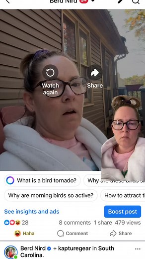 Bird tornado is my creation! 😂 #birds | Berd Nird