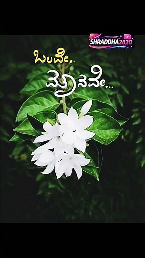 Song Name 😍 | Ultimate Kannada Mix #kannadasongs #kannadamusic