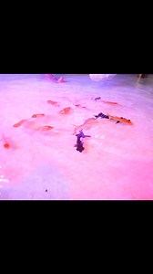 YASH KE EXPERIMENTS on Reels