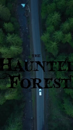 Poptronic Multimedia on TikTok