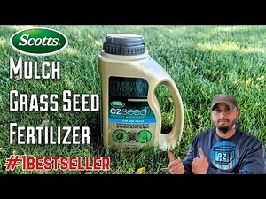 Scotts EZ Seed Patch & Repair | How to use the right way and #honestreview #lawncare #review