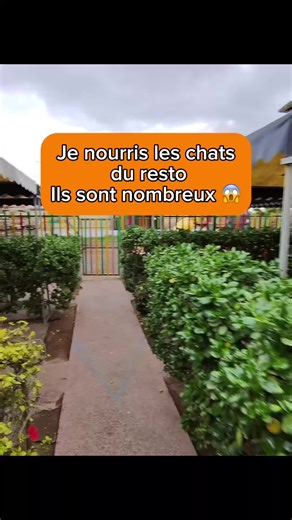 Ils sont tellement nombreux 😭