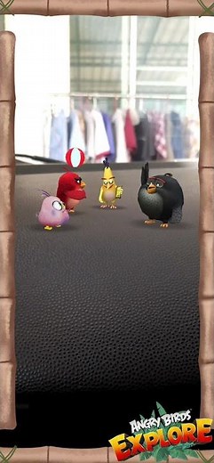The Angry Birds gang meet each other (AR video test in Angry Birds Explore)