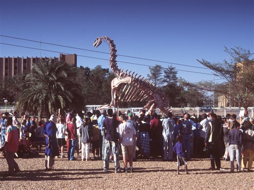 Dinosaurs to supercrocs: Niger’s bone keepers preserve its ancient fossils