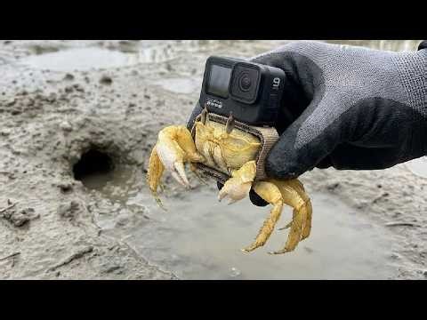 YELLOW CRAB Has Gopro Camera to Explore in HOLE!