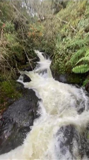 Witnessing River Rapids, Papallacta Mountains, Ecuador, G Adventures from Adam K. 🇪🇨