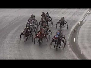 Prix d'Amérique Races ZEturf Qualif#3 - La course - Gu d'Héripré / F. Nivard