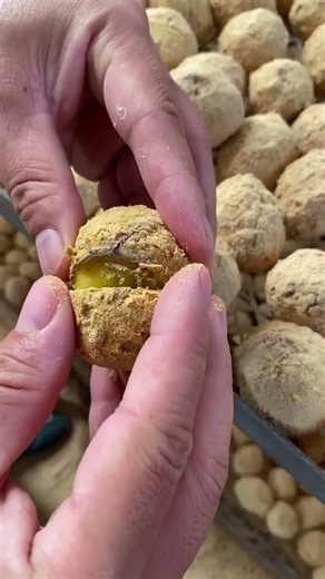 new trending software introduction#