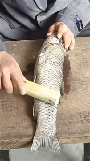 There s no fish scale remover. Make one yourself