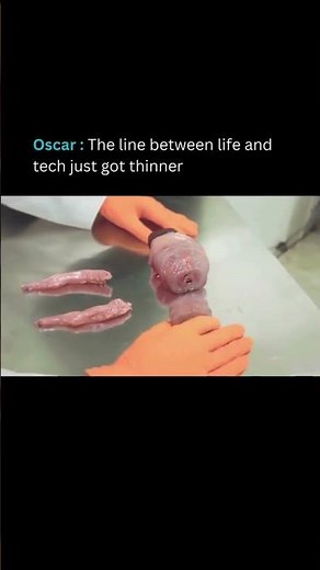 Oscar: The First ‘Living’ Robot? Bio-Hybrid Tech Explained