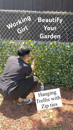 HANGING LEAF TRELLIS WITH ZIP TIES #trellis #gardening #gardeningideas #backyardgarden