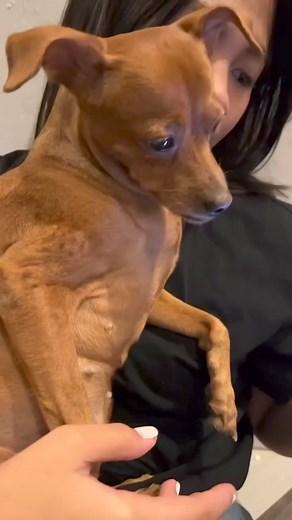 1M views · 10K reactions | Videos Feos on Reels | Facebook