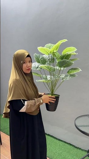 Artificial aglonema plant 1 meter high #artificialplants #homedecoration #decorativeflowers