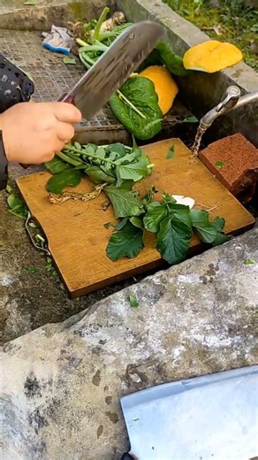 2024 New Year's Goods Update: Essential Shopping Guide