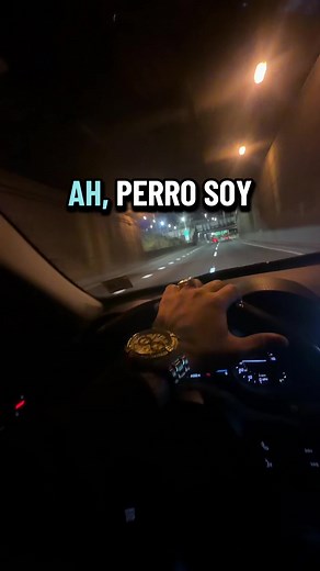 Soy perro y perro moriré: Humor y desmadre en TikTok