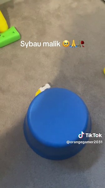 Explore the Journey of Sybau Malik