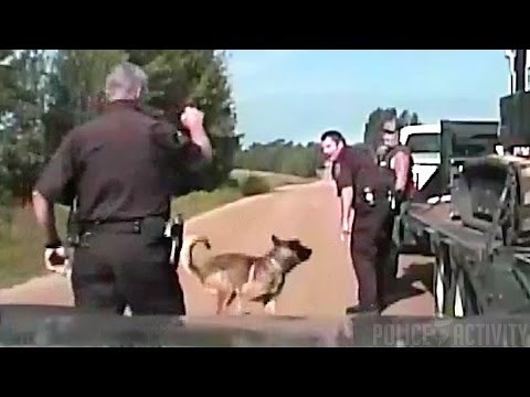 Dashcam: Man Sues Deputy After Police Dog Bites His Head