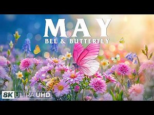 Springtime Splendor 4K | Gentle Bees & Dancing Butterflies 🌷 A Garden Full of Life