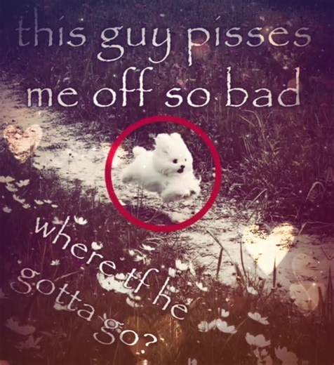 Exploring the Meaning of Vro in Papyrus Area 19