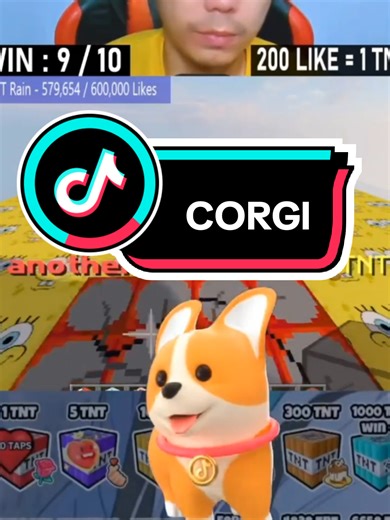 Corgi Adventures in America