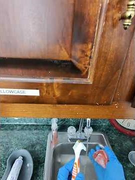 Georgia CNA State Skills Exam | Skill 5: Cleans Upper or Lower Denture