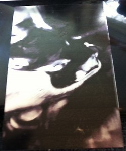 Go Tsushima - Pulse Machine