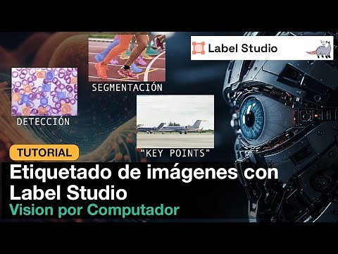 Tutorial: etiquetado de imágenes con LABEL STUDIO