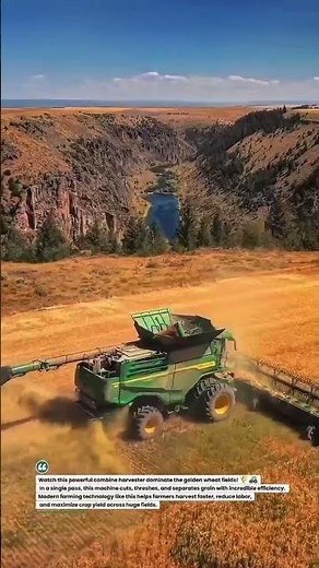 Massive Wheat Harvest Machine in Action | Smart Farming Tech 🌾🚜 #CombineHarvester #Farming #AgriTech