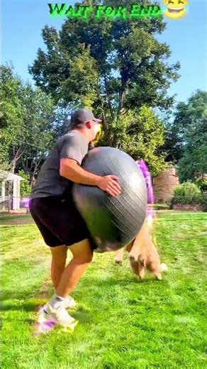 Can your dog do THIS? 😱