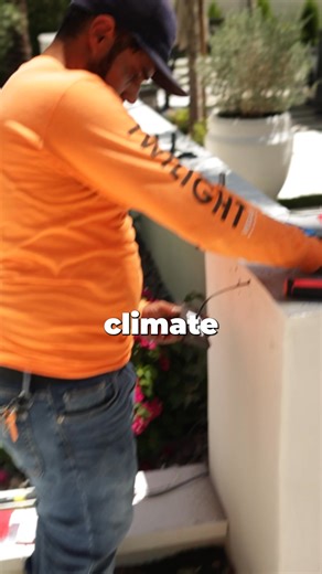 Anyone can make a tree look good once. But if you don’t design for climate and connections, it won’t last. Vision without execution is useless 🌎 | Twilight Designs