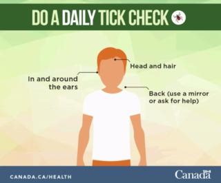 15K views · 46 reactions | After returning from outdoor activities, it’s important to do a tick check on yourself, your loved ones, and your pets. Tick checks are one of the best ways to prevent tick bites and tick-borne diseases. Learn where ticks hide to reduce the risk of infection: https://ow.ly/oNu050VQg8B Parks Canada Canadian Camps Association / Association des camps du Canada | Healthy Canadians | Facebook