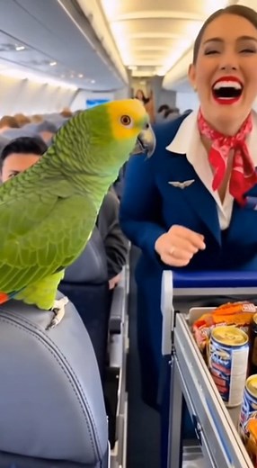 145K views · 3.7K reactions | ‍聆 what you like baby 列 | Random Sparks | Facebook