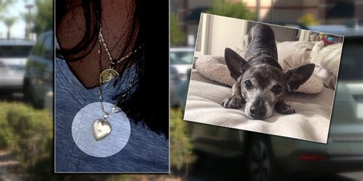 Las Vegas police, pawn shops work together to recover stolen items