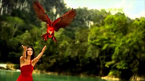 Enigma - Why - Текст и превод на песента