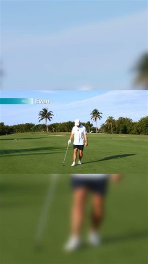 Crocodiles on the golf course?! A wild surprise!