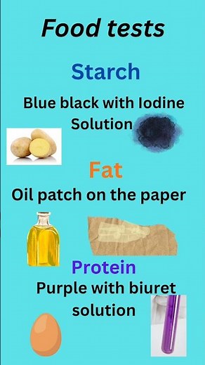Food tests: Starch, Fat, Protein