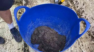 How this pool went from green to perfect