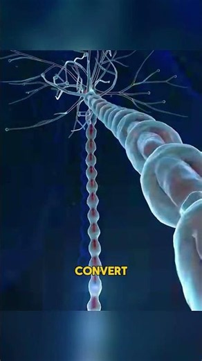 🧠 Brain Chips Could Control Computers 😨 || #neuralink #ai @DigitalNova-01