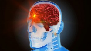 Animation of human brain with nervous system network on grey background | Premium Stock Video Footage