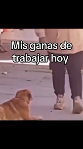 🤣 Todos hoy, volviendo a la rutina en este viernes que se siente como lunes. 💯 ¡Buen día, gente! ¿Cómo pasaron el feriado? 🌤️ El tiempo hoy arranca fresco y va tornando cálido con el correr de las horas. Se espera cielo parcialmente nublado y vientos variables. ☔ Para el fin de semana: hay probabilidad de lluvias y algunas tormentas aisladas. El ambiente seguirá húmedo e inestable. 🌡️ La máxima de hoy rondará entre los 25 °C y 30 °C. ¡Qué tengan un gran viernes y un finde tranquilo! 💪 | RDN