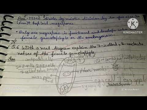 Class 12 biology chapter 1 Sexual reproduction in flowering plant/ question and answer
